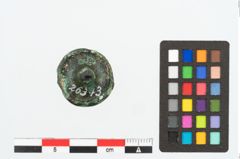 Foto von Bronzeringfußknopf (NHMW-PRAE-026343)